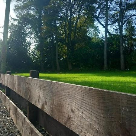 Appartamento The Annex Roundwood Esterno foto