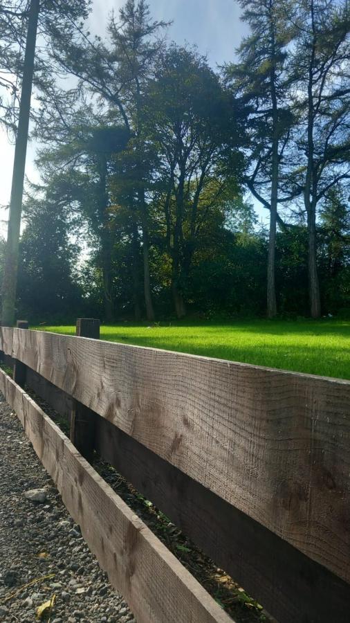Appartamento The Annex Roundwood Esterno foto