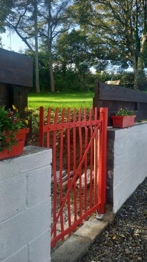 Appartamento The Annex Roundwood Esterno foto
